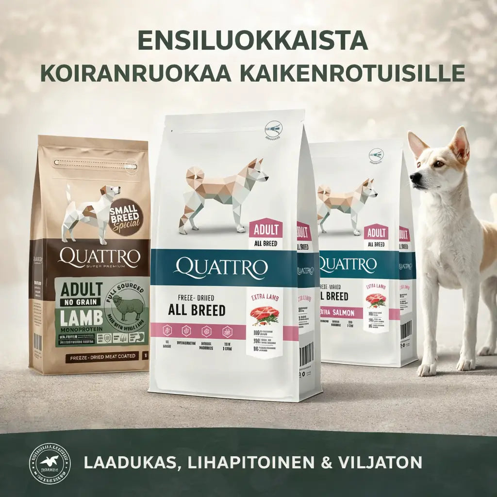 Quattro Super Premium Koiranruoka Kaikille Roduille