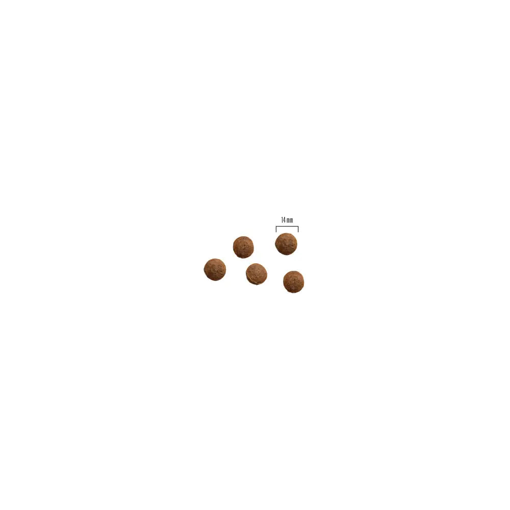 10kg primadog adult active viljaton ankka & silli - retkeilyvarusteet verkkokaupasta 46,90 €