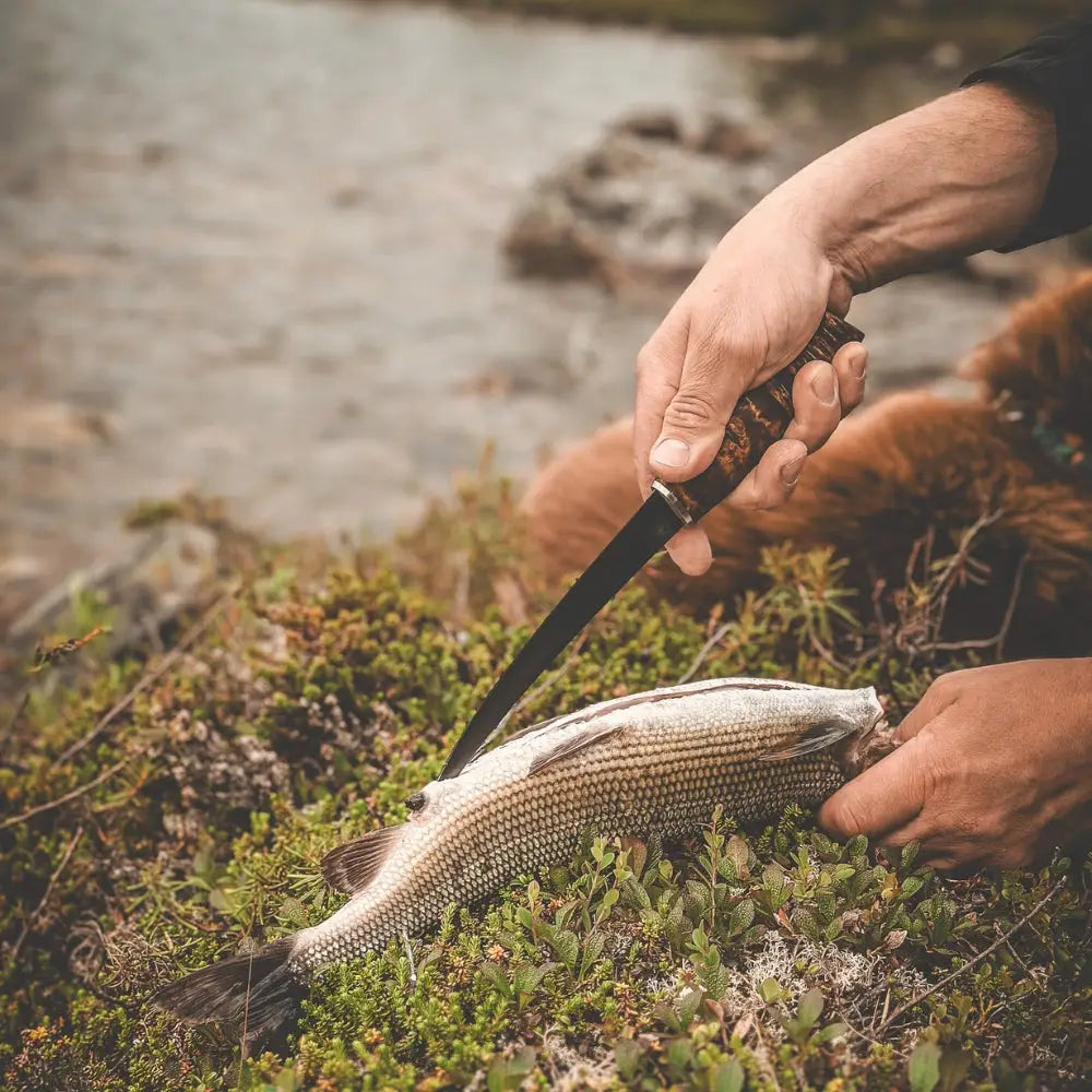 A hand holds a big fillet knife with a dark textured handle and sharp black blade over a fish on green moss