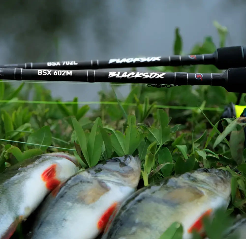 Blacksox bsx 602m spin avokelavapa mustavalkoisena nurmikolla saaliin vieressä