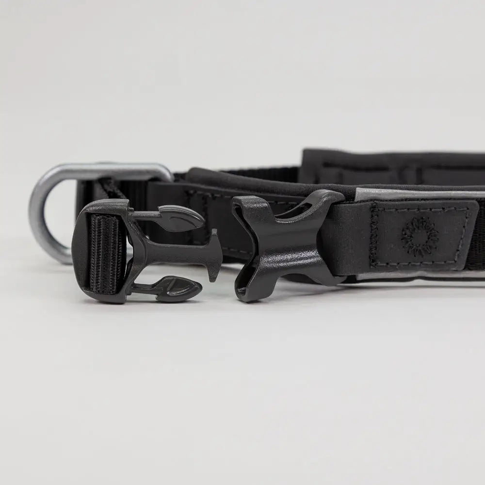 Mustan nailoninen non-stop roam panta jossa hopeanvärinen metallinen d-rengas ja musta muovinen solki