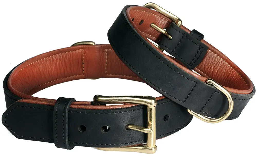 Musta nahkainen pet first fatty leather rasvanahkapanta vaalealla vuorella ja messinkisellä metalliosalla