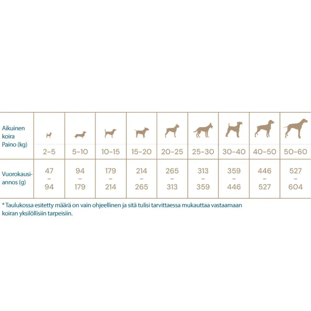 Quattro dog adult lamb all breed - koiranruoka retkeilyvarusteet verkkokaupasta