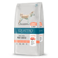 Quattro dog adult salmon all breed - 3kg - koiranruoka retkeilyvarusteet verkkokaupasta 16,90 €