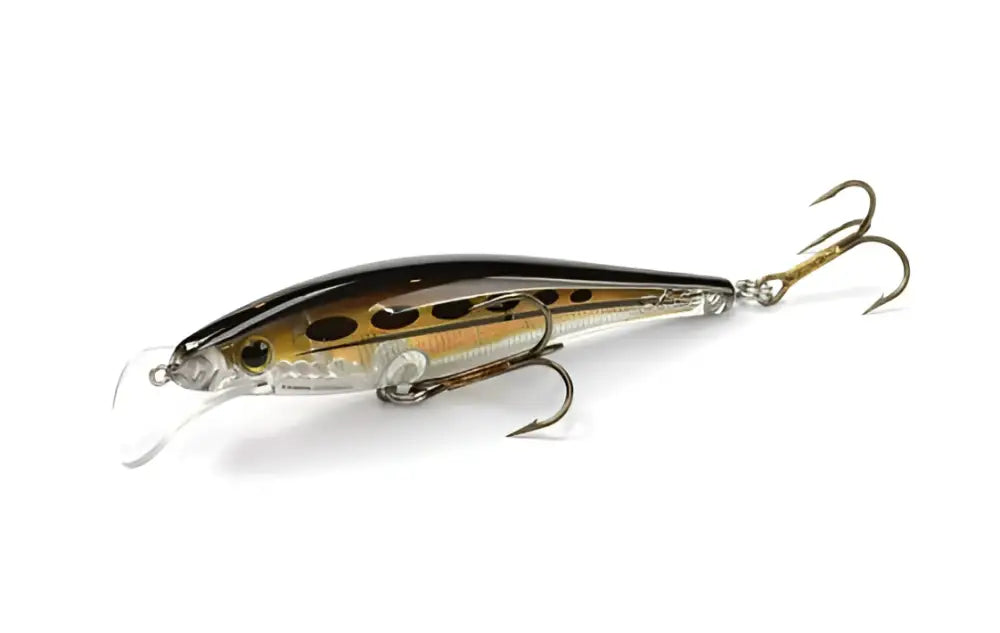 A sleek metallic scandinavian tackle gator wobbler fishing lure with black and gold pattern clear plastic fins and three hooks