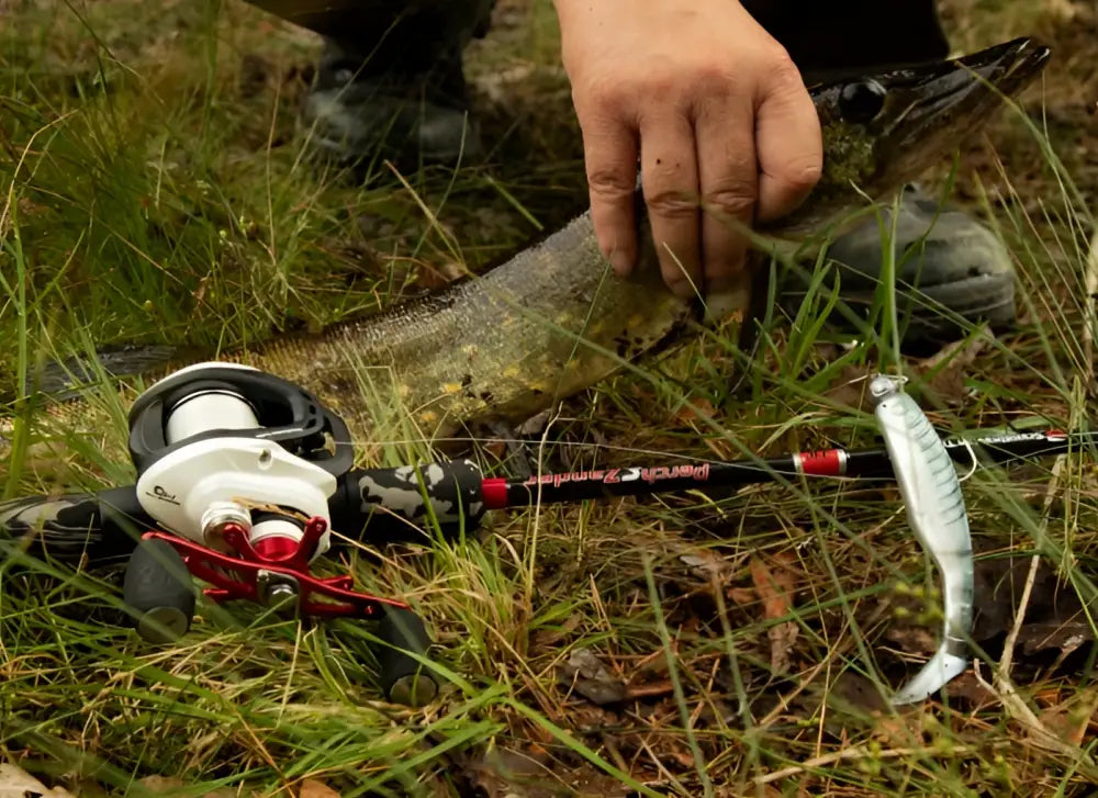 A sleek black and red fishing rod with white reel and piscine branding in the scandinavian tackle perch & zander hyrräkela model